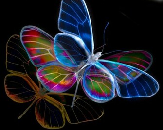 Neon Background For Desktop Cool