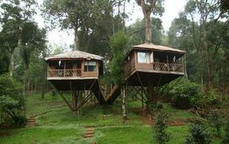 Tree Houses Wallpaper Sa