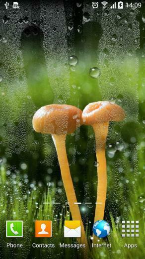 Rain Live Wallpaper Apk For Samsung Details