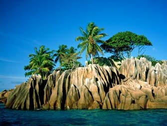 Caribbean Beach Wallpaper Which Is Under The