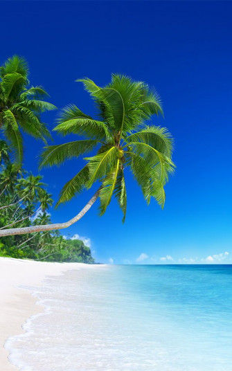 Tropical Landscape Wallpaper Mural Hovia Uk Paisaje