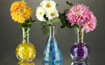Flower Vase Wallpaper In Psd