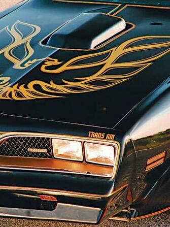 Pontiac Trans Am Hood Photo