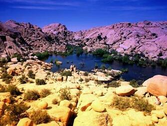 Joshua Tree National Park Wallpaper Stock