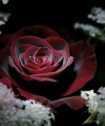 Gothic Dark Wallpaper Background