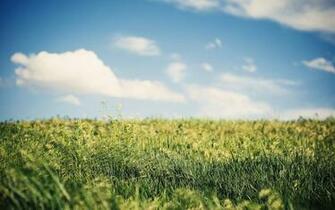 High Resolution Image Of Nature Desktop Wallpaper Fields Field