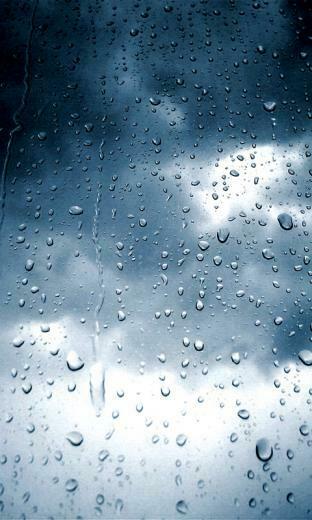 Rain Wallpaper For Windows Phone Hellaphone
