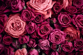 Hot Pink Aesthetic Wallpaper