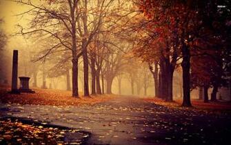 Autumn In The Park Wallpaper
