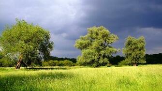 Definition Wallpaper Photo Summer Html