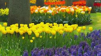 Spring Garden Wallpaper