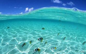 Best Quality High Resolution Sea HD Image Desktop Wallpaper