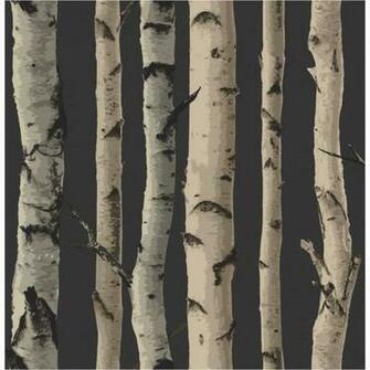 Home Wallpaper Fine Decor Birch Tree