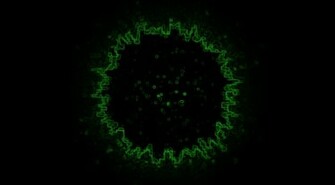 Green Black Dark Wallpaper Allwallpaper In