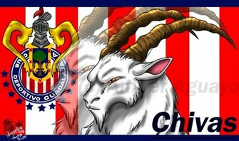 Chivas Wallpaper