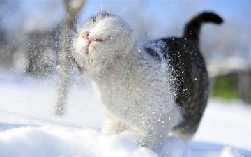 Winter Fun Cute
