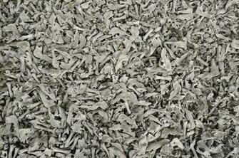 Texture Background Photo Bones