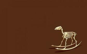 Category Animals HD Wallpaper Subcategory Horses