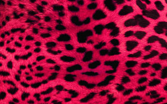 Pink Wallpaper HD