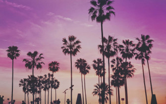 Miami 4k Wallpaper