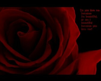 Crimson Rose Wallpaper By Orangeroom