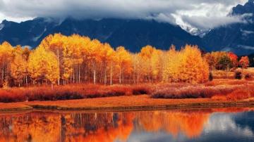 Autumn Wallpaper