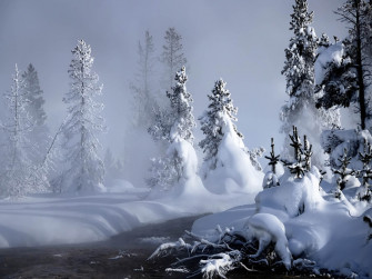 Snow Wallpaper