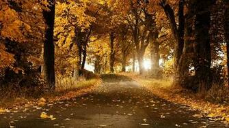 Beautiful Autumn Wallpaper