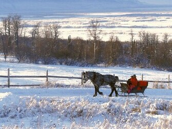 Winter Wonderland Desktop Pc And Mac Wallpaper