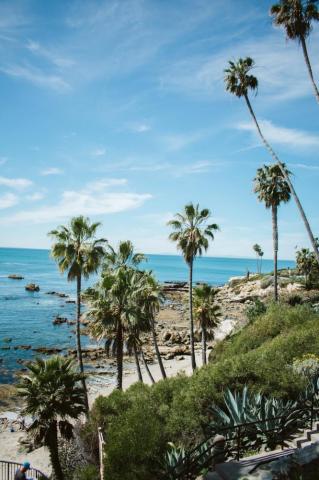 Laguna Beach Pictures Image