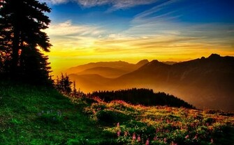 HD Nature Wallpaper Flowers Windows Mac Sky