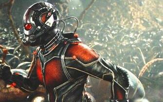 1antman Warrior Ant Man Wallpaper