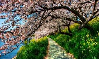 Spring Wallpaper Inspiration Pixeyo