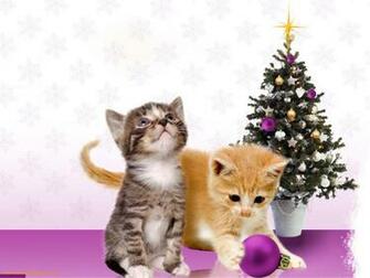 Christmas Kittens Wallpaper