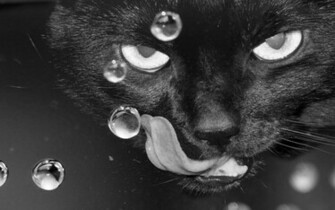 Best Wallpaper Collection Black And White