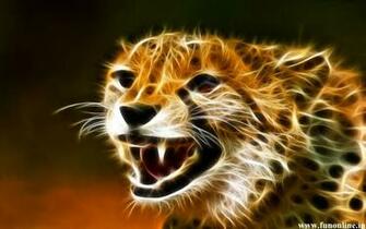 Free download Wallpaper Cheetah Running Baby Cheetah Running Wallpaper ...