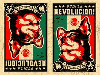 Obey Propaganda Wallpaper Chihuahua Revolution