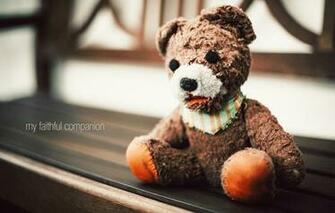 Wallpaper Macro Teddy Bear Toy