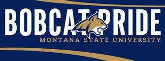 Covers Web And Digital Communications Montana State University