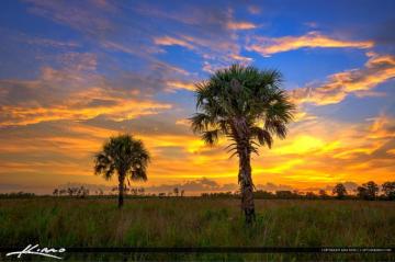 Florida Landscape HDr Photo Pine Glades Natural Area Royal Stock