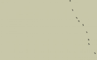 Minimalistic Desktop Wallpaper