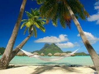 Tropical Hammock Screensaver Screensavers