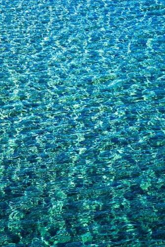 Summer Mobile Wallpaper Mobiles Wall