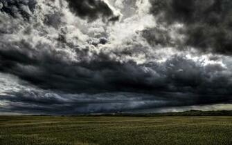 Stormy Field Wallpaper