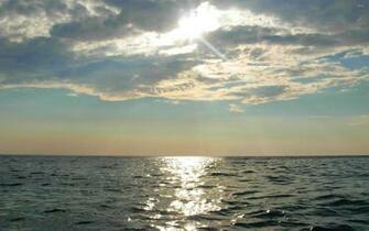 Sunshine Desktop Nature The