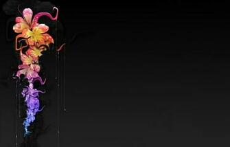 Flowers Floral Black Background Wallpaper Nature