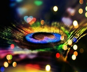 Wallpaper Of Peacock Feathers HD