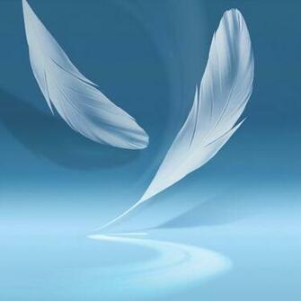 Samsung Galaxy Note System Dump With Ringtones Wallpaper