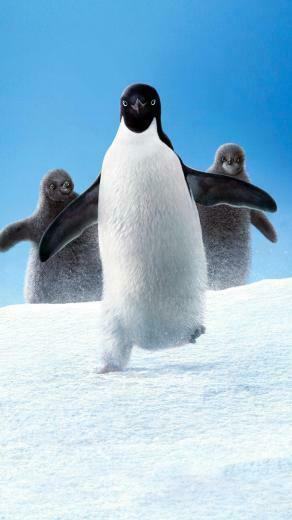 Penguins Phone Wallpaper Moviemania