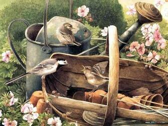 Backyard Birds Beautiful Paintings Small Bird Illustration